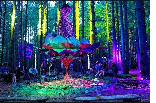 Buy DMT online Newcastle, Wagga Wagga, Wollongong, Darwin, Toowoomba, Bendigo, Canberra, Tamworth, Geelong, Coffs, Habour, Dubbo, Gold Coast