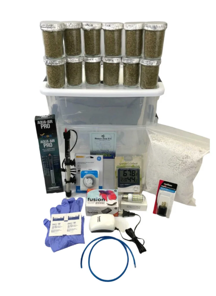 Buy mushroom growing kit Melbourne,Mushrooms grow kits for sale Australia,where to buy mushroom grow kits Melbourne,order magic mushroom Buy mushroom growing kit Sydney,Mushrooms grow kits for sale Australia,where to buy mushroom grow kits Sydney,order magic mushroom Sydney Mushroom growing kit for sale Victoria,Buy mushrooms grow kits online Melbourne,where to buy magic mushrooms growing kits Ballarat Buy Magic Mushroom Growing Kit New South Wales,Mushrooms growing kit for sale Australia,Order magic mushrooms kit Sydney,Buy shrooms NewcastleBuy Mushroom Growing & Incubator kit, Best mushroom grow kit for sale Australia, Queensland, Victoria, Sydney, Melbourne, Perth, Brisbane AU