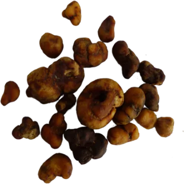 Buy Magic Truffles Atlantis online, Magic truffles for sale online Australia, Europe, Germany, Belgium, UK, Ireland, USA, Victoria,Queensland